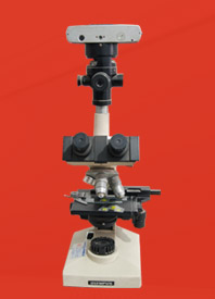 唐山偉業(yè)塑料有限公司，化纖色母粒，丙綸色母粒，色母粒，無紡布色母粒，ASA共擠色母料，熔噴料